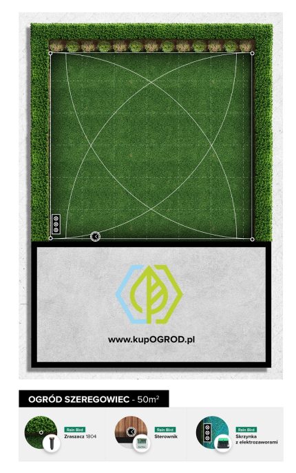Product 6